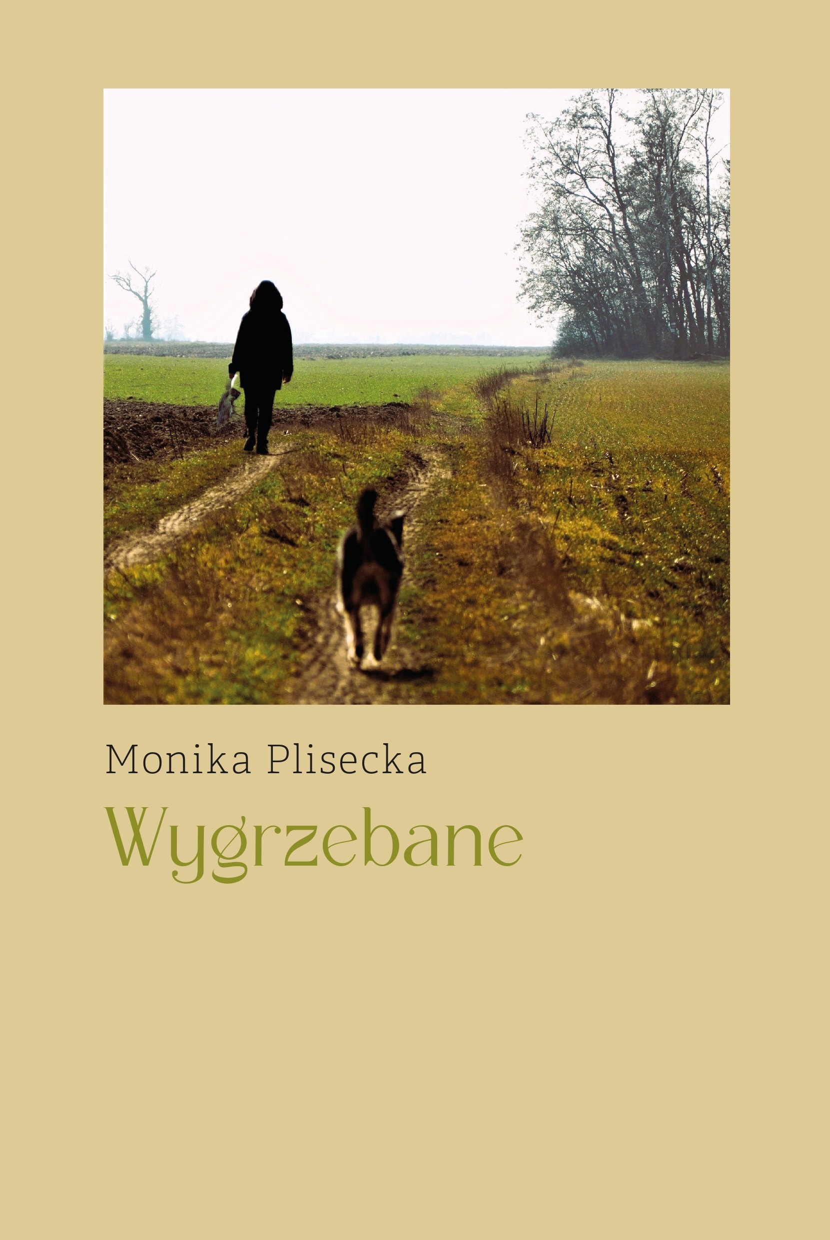 okładka książki Wygrzebane, Monika Plisecka, wydawnictwo LAVA